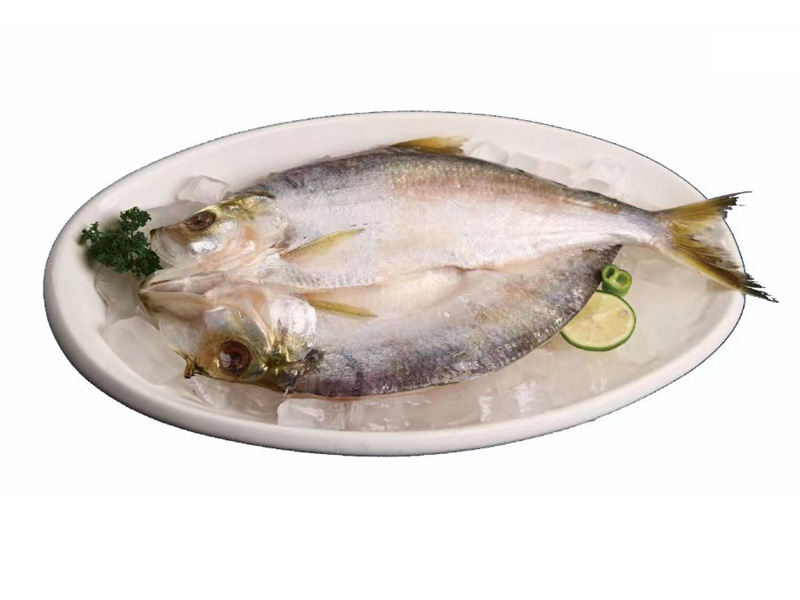 醇香鰣魚