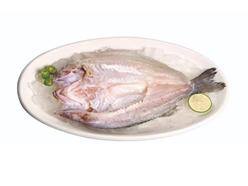 海鱸魚